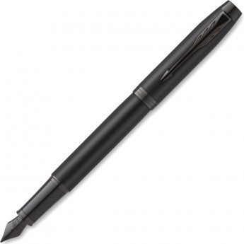 Ручка перьевая PARKER IM ACHROMATIC F317 MATT BLACK F нержавеющая сталь